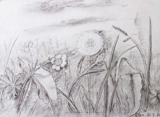 Dana Ciric - Blumenwiese