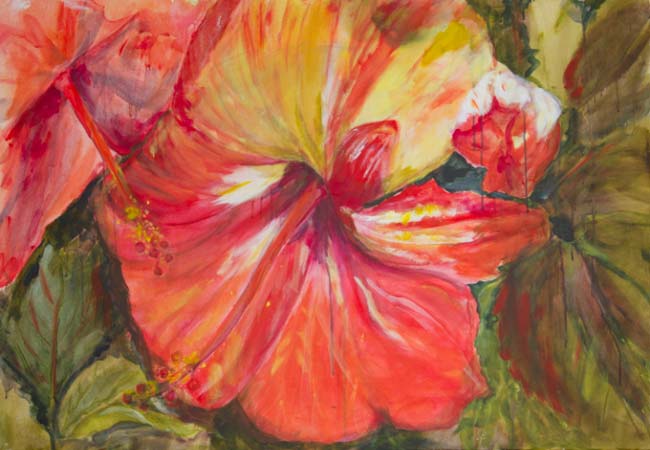 Dana Ciric - Hibiskusblüte 