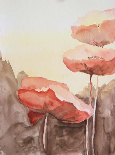 Dana Ciric - Mohnblumen
