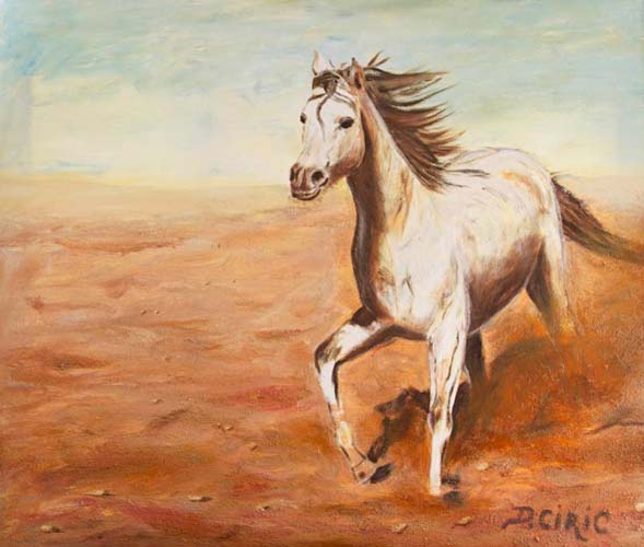 Dana Ciric - Pferd