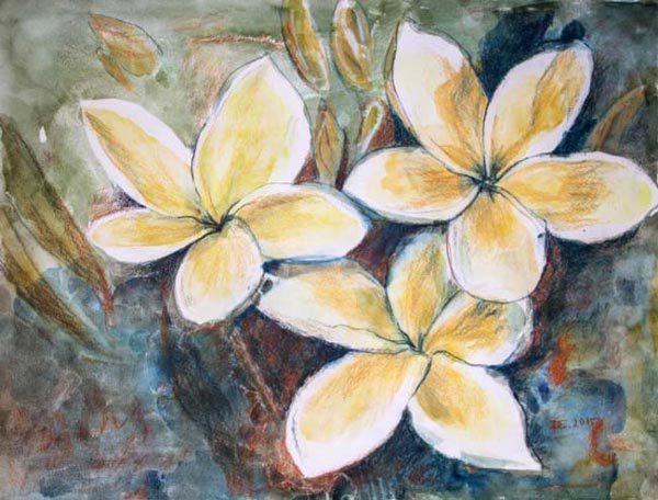 Dana Ciric - Plumeria