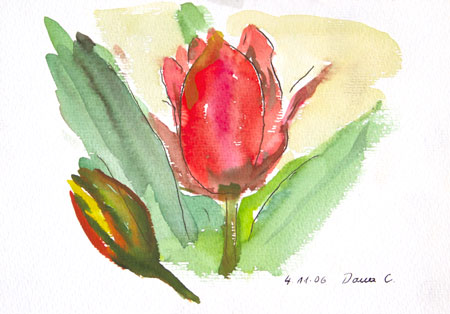 Tulpen - Aquarell