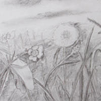 Dana Ciric - Blumenwiese
