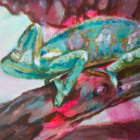 Dana Ciric - Chameleon