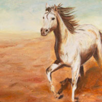 Dana Ciric - Pferd