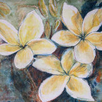 Dana Ciric - Palme
