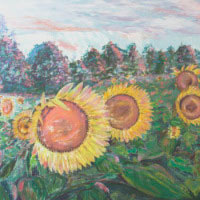 Dana Ciric - Sonnenblumenfeld in Kuba